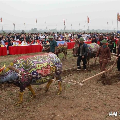 河南在越南怎么样