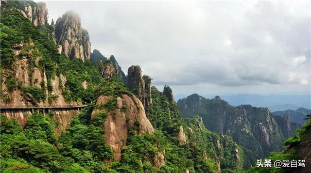 在家怎么过植树节