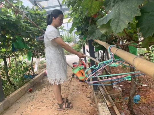 女硕士带3个儿子回农村读书，称“相夫教子是最好的职业”