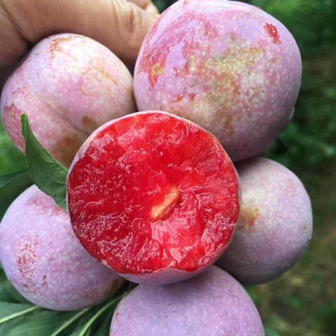 广西水果跨境电商平台的相关长尾关键词有什么