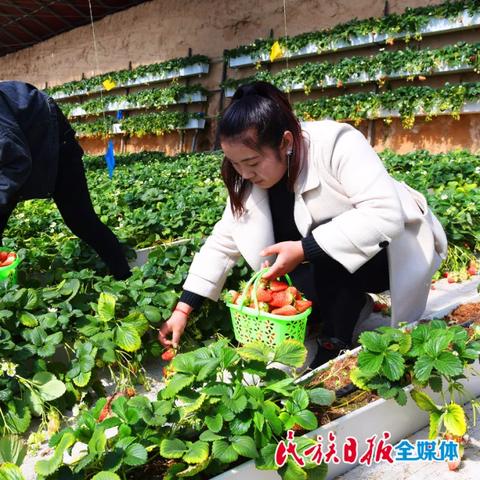 兰州市哪里有纸箱厂