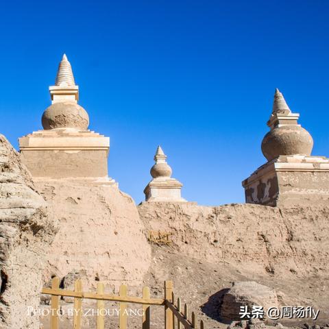 南通市新疆饭馆在哪里啊