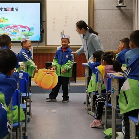 合肥市芙蓉路有什么学校