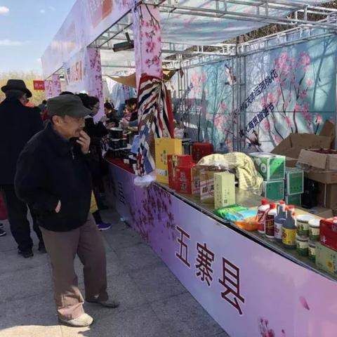 天津运河是哪个