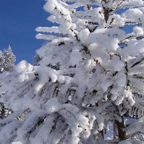 西安每年几月份下雪？