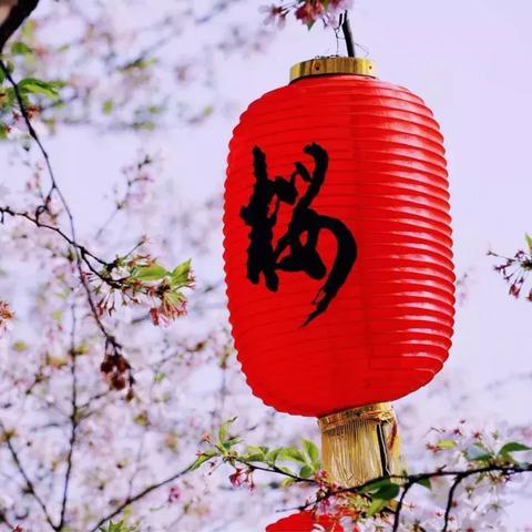 武汉看樱花住哪里？