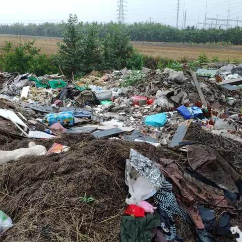 西安市拉垃圾怎么收费