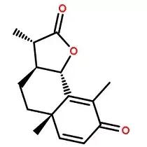 昆明市初中化学老师的长尾关键词有哪些