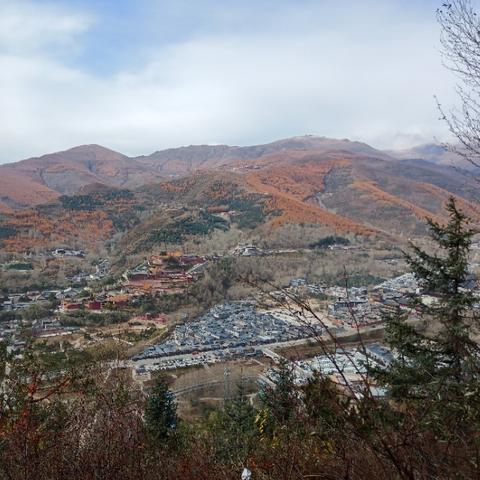 五台山火车站到五台山景区大巴时刻表详解-第1张图片-其人生活百科