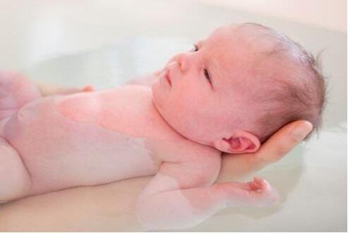 孕前营养菜谱和食谱 孕前营养菜谱和食谱