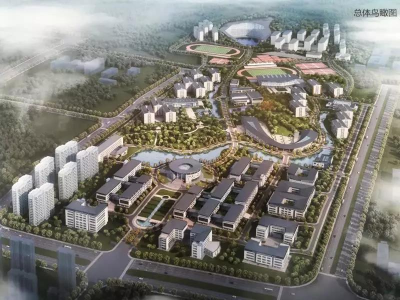 深圳大学与深圳技术大学实力对比之深度解析