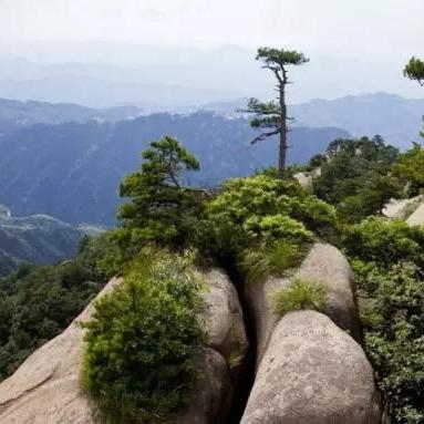 临沂市最高峰是哪个山峰