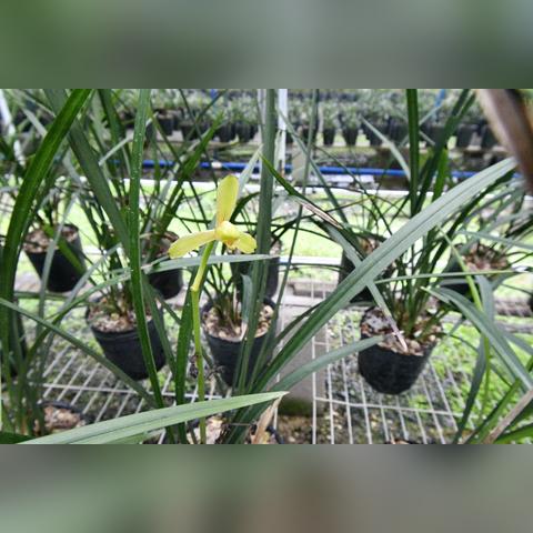 桂林飞北京航班时刻相关长尾关键词有哪些