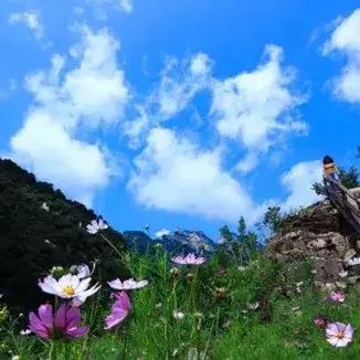 2025.11.24石家庄今日最新新闻有哪些