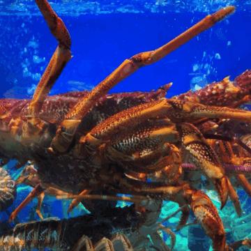 兰州市哪里海鲜好吃