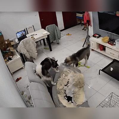 东莞市家天下怎么样