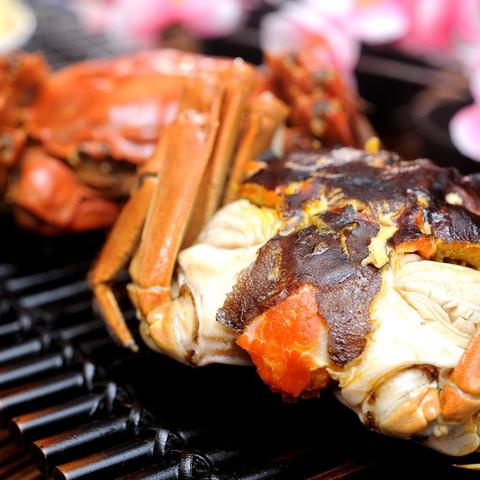 无锡市美食醉蟹饭店的长尾关键词有哪些