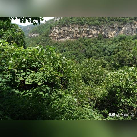 什么时候才能离开济南市