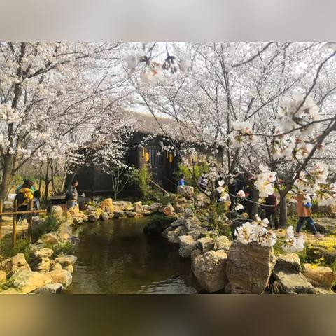 [苏州到开封的动车]长尾关键词有什么