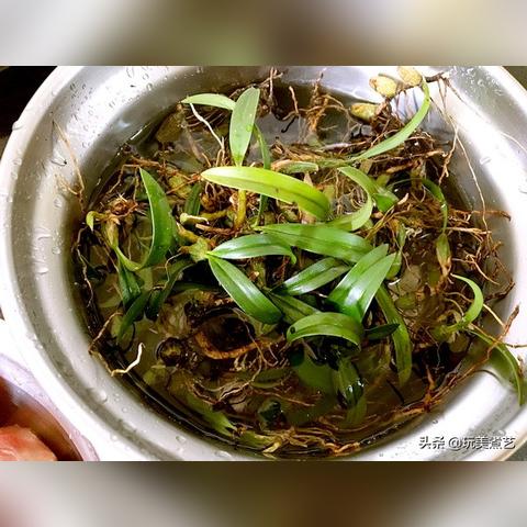 石橄榄鸡做法大全的长尾关键词有哪些