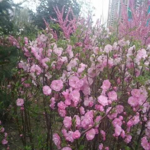 哈尔滨旅游春天相关长尾关键词有哪些