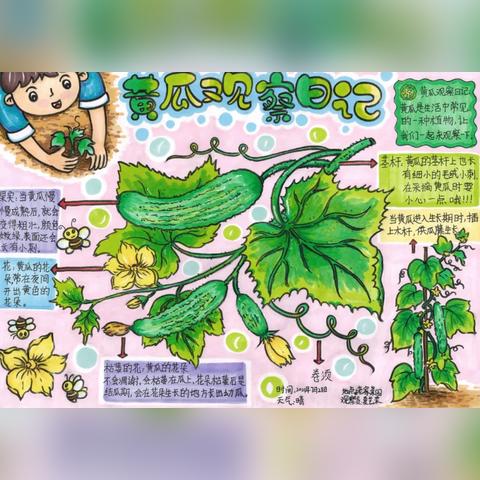 【福建旅游路线,福建旅游路线小报】