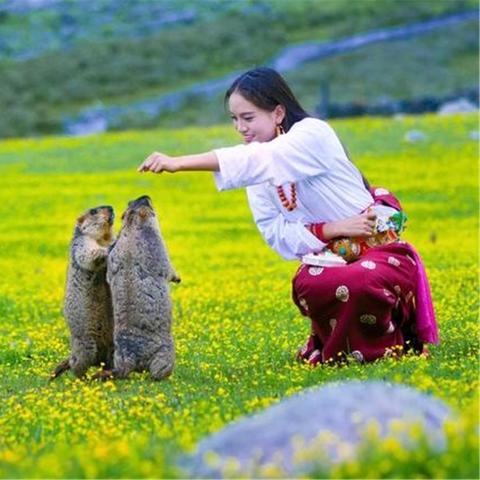 武汉别墅出售的长尾关键词有什么