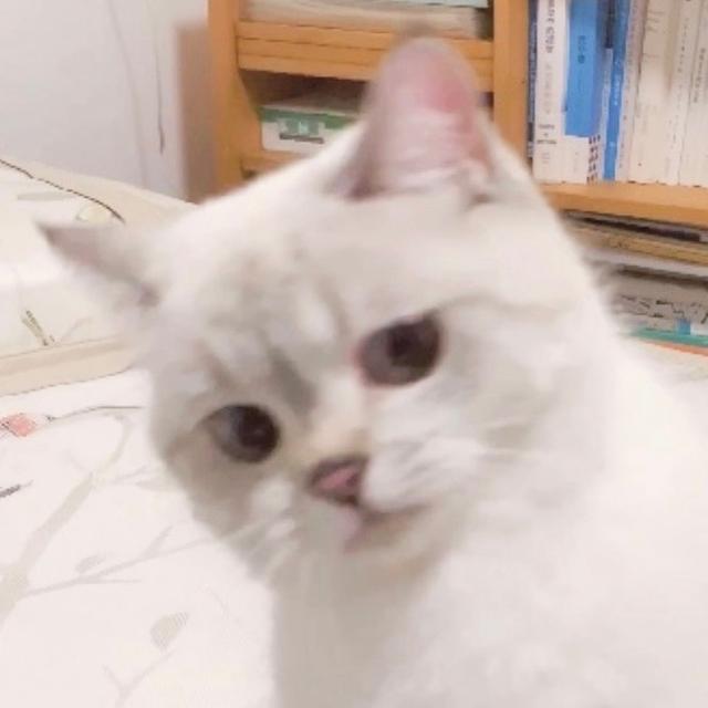 宝宝会空吸乳房吗
