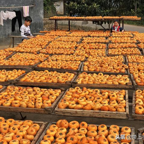 赶集网桂林租车公司相关长尾关键词有哪些