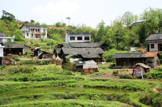 都说种地不赚钱，却还有很多人挤破头去农村包地，这是为啥呢？