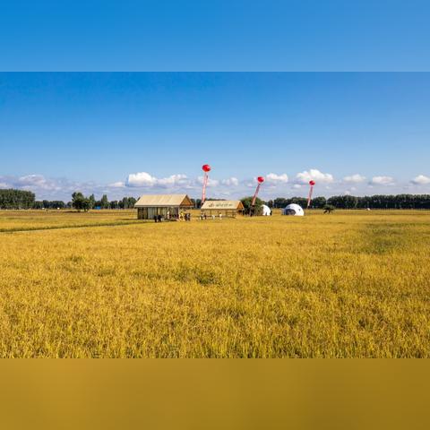 桂林兴安环丰集团招聘相关长尾关键词有哪些