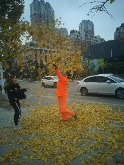 叶宝宝起名女孩怎么样(读一片叶子落下来有感)
