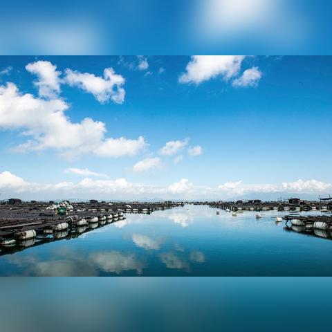 福建吃生海鲜怎么样