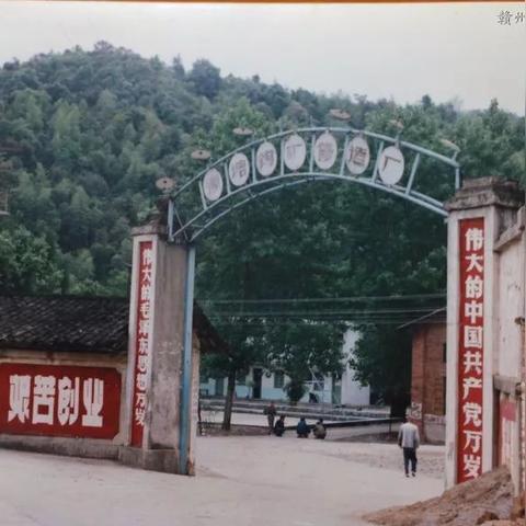 保定市新城镇饭店有哪些