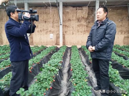 山西绛县：一对“大棚夫妇”的返巢创业梦