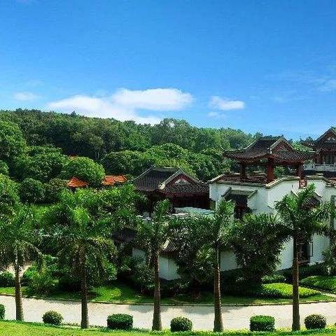 青秀山观音禅寺可以自带香火吗？