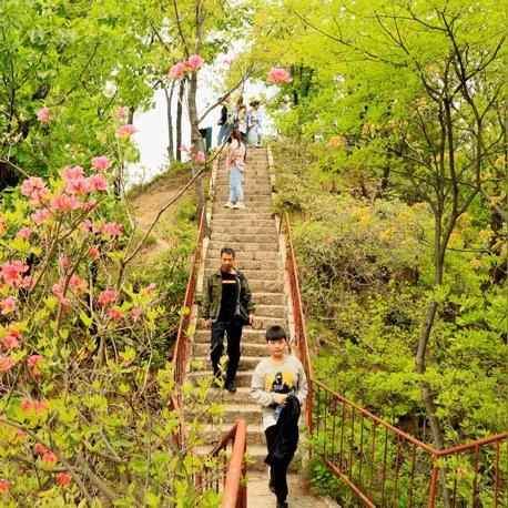 河南东北部是哪个省市