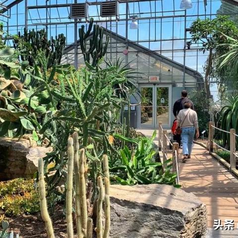 福建f1酒吧的相关长尾关键词有哪些