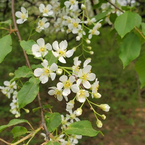 沈阳花卉大棚相关长尾关键词有哪些