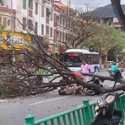 台风达到什么颜色停课