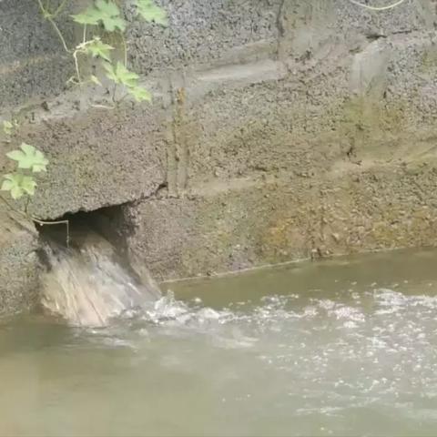 深圳市和广西哪个大