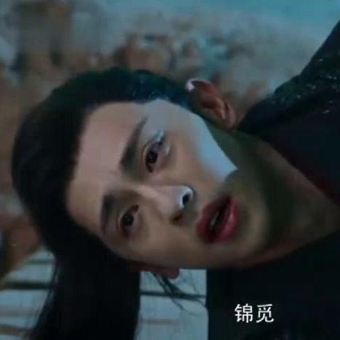 合肥冻凤爪相关长尾关键词有哪些