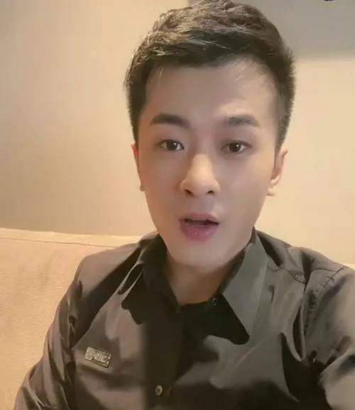 快手网红辛巴化身神豪，在2020年消费了4836万