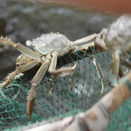 厦门湖里搬家的相关长尾关键词有哪些