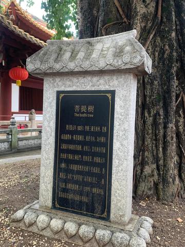 广州市寺庙求什么最灵