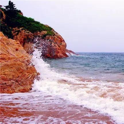 大连市海岛村是哪个区的