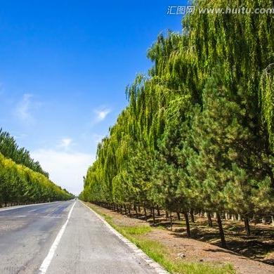 兰州市大青山是哪个区