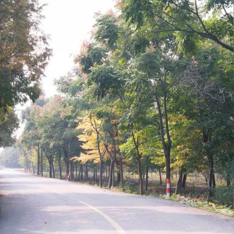 苏州市农村吃什么好