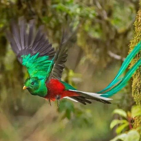 广州自由之光相关长尾关键词有哪些