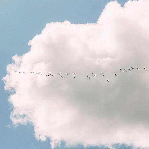 智慧屏tiktok 衍生的长尾关键词有什么